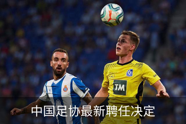 中国足协最新聘任决定