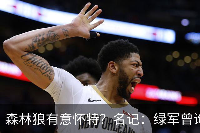 森林狼有意怀特？名记：绿军曾询价戈贝尔被拒绝 他和怀特能配平