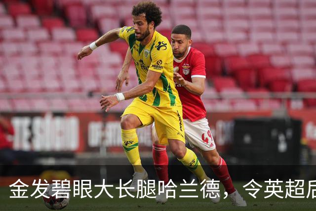 金发碧眼大长腿哈兰德，令英超后卫闻风丧胆，一己之力带飞挪威！